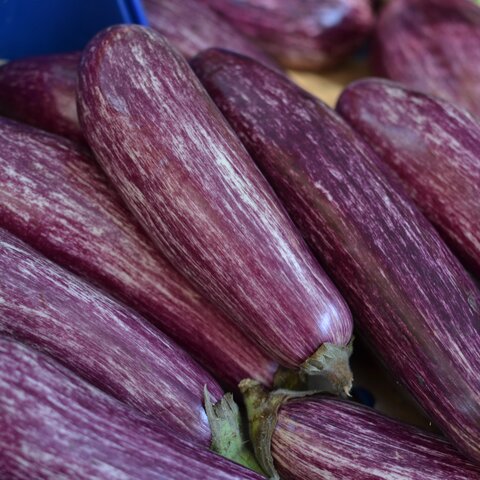 Eggplant Bacon